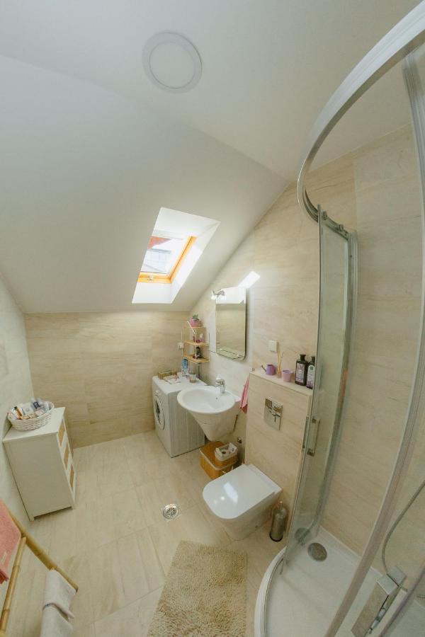 Apartman Zamak 松博尔 外观 照片