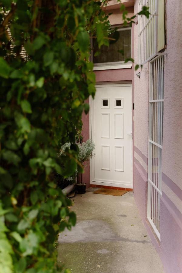 Apartman Zamak 松博尔 外观 照片