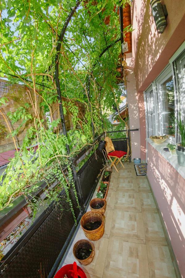 Apartman Zamak 松博尔 外观 照片