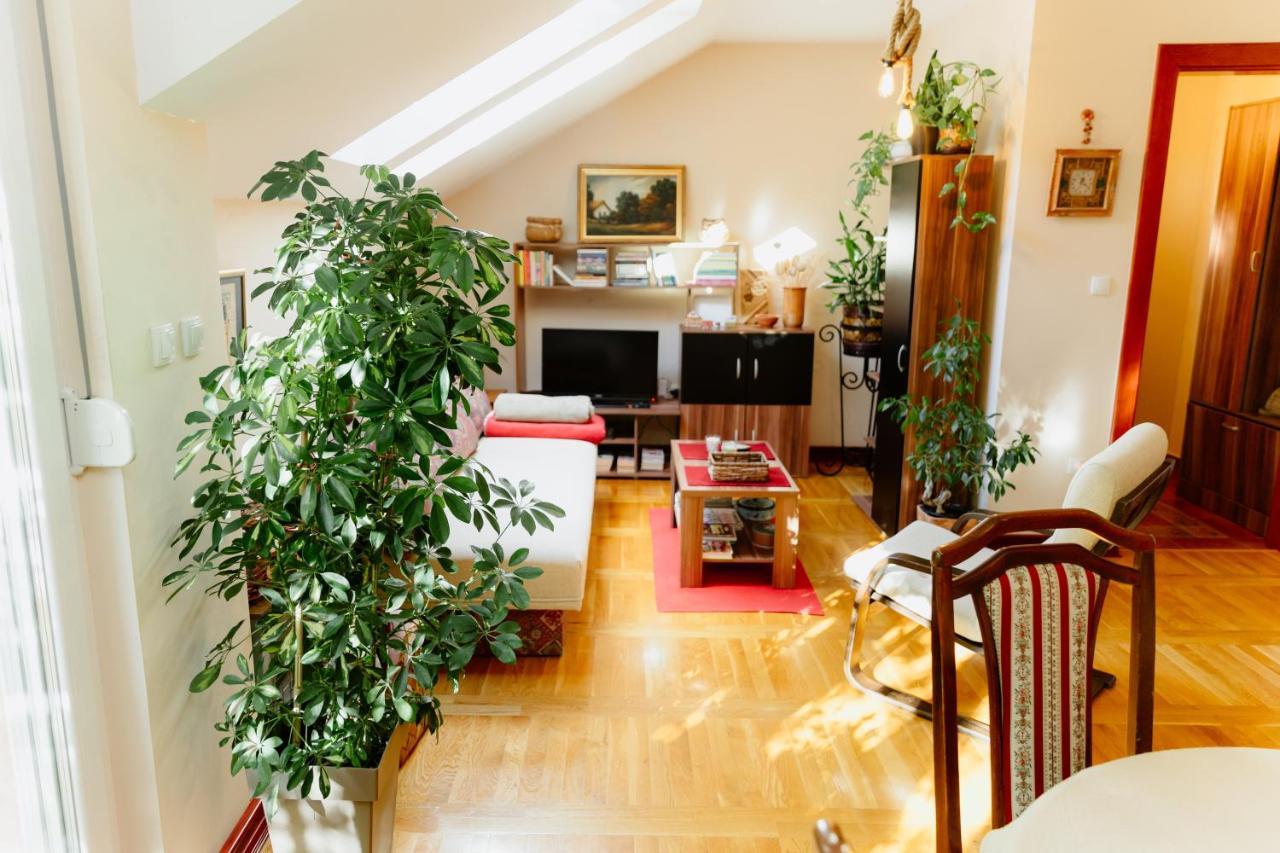 Apartman Zamak 松博尔 外观 照片